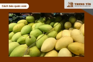 Các bước bảo quản xoài đúng cách giúp giữ tươi ngon khi vận chuyển