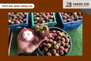 Mẹo bảo quản và vận chuyển măng cụt tươi ngon đến tay người nhận