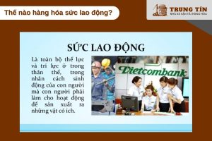 Sức lao động là yếu tố cốt lõi tạo ra giá trị trong quá trình sản xuất hàng hóa
