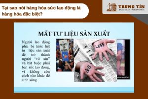 Hàng hoá sức lao động là loại hàng hoá duy nhất có khả năng tạo ra giá trị thặng dư cao