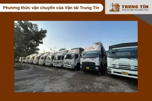 Vận tải Trung Tín chuyên vận chuyển đường bộ với đa dạng tải trọng xe