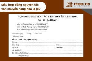 Giải pháp pháp lý linh hoạt cho vận chuyển hàng hóa định kỳ Bắc Nam