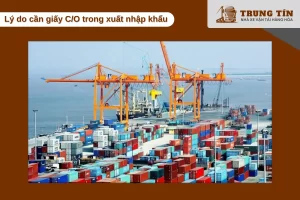 Giấy C/O giúp giảm thuế và đảm bảo hàng hóa được thông quan dễ dàng
