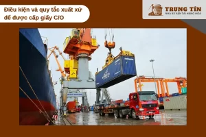 Quy tắc xuất xứ và tỷ lệ nội địa hóa quyết định điều kiện cấp C/O