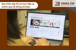 Doanh nghiệp có thể nộp hồ sơ C/O trực tiếp hoặc online qua hệ thống eCoSys