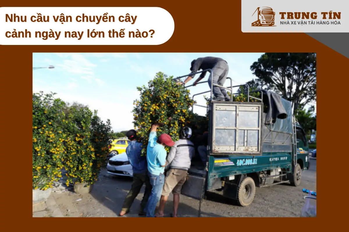 Nhu cầu vận chuyển cây cảnh tại Việt Nam tăng mạnh