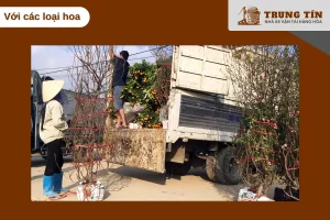 Hoa cần đóng gói kỹ, cắt nước trước vận chuyển và giữ nhiệt độ ổn định khi đi xa