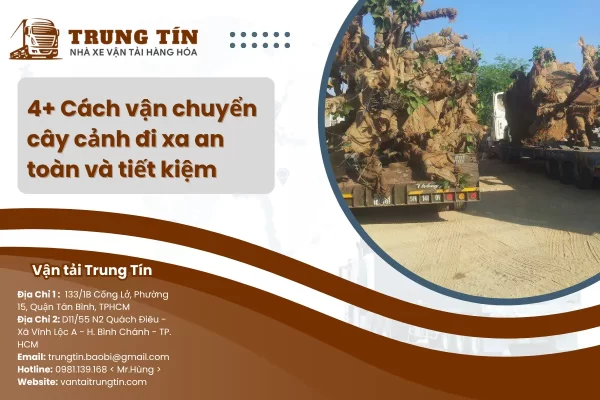 Cách vận chuyển cây cảnh đi xa an toàn và tiết kiệm