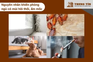 Nguyên nhân phổ biến gây mùi hôi và ẩm mốc trong phòng ngủ