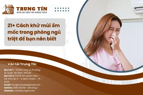 21+ Cách khử mùi ẩm mốc trong phòng ngủ triệt để bạn nên biết