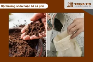 Baking soda và bã cà phê hút mùi thuốc lá và trung hòa không khí hiệu quả