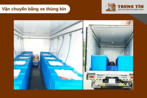 Vận chuyển hải sản sống gần bằng xe thùng kín giữ nhiệt ổn định, tiết kiệm chi phí