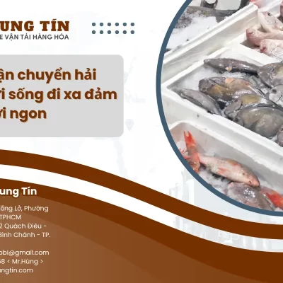 Cách vận chuyển hải sản tươi sống đi xa đảm bảo tươi ngon