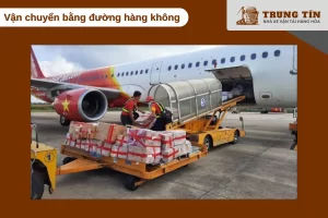 Vận chuyển hải sản sống cao cấp bằng máy bay giữ tươi tối đa, giao nhanh trong ngày