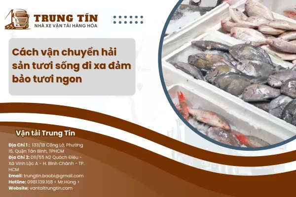 Cách vận chuyển hải sản tươi sống đi xa đảm bảo tươi ngon