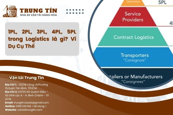 Ví dụ về 1pl 2pl 3pl 4pl 5pl