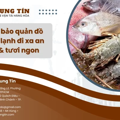 Cách bảo quản đồ đông lạnh đi xa an toàn & tươi ngon
