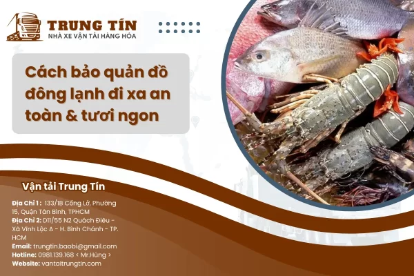 Cách bảo quản đồ đông lạnh đi xa an toàn & tươi ngon