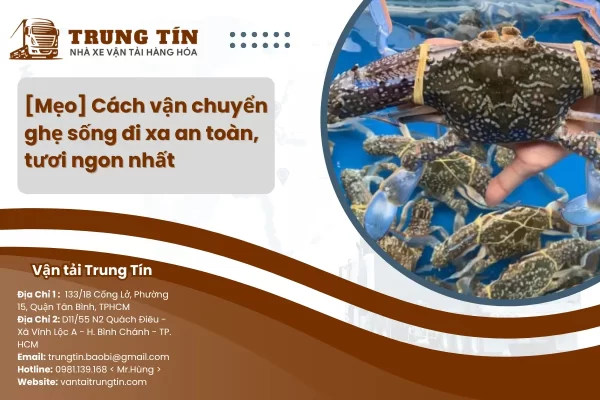 [Mẹo] Cách vận chuyển ghẹ sống đi xa an toàn, tươi ngon nhất