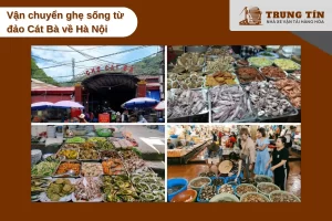 Vận chuyển ghẹ sống từ Cát Bà về Hà Nội, cách 150 km trong 3 giờ 15 phút.