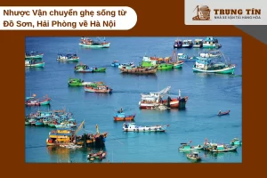 Vận chuyển ghẹ sống từ Đồ Sơn về Hà Nội, cách 100 km trong 2 giờ di chuyển.