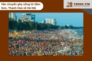 Vận chuyển ghẹ sống từ Sầm Sơn về Hà Nội, cách 200 km trong 4 giờ di chuyển.
