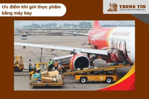 Vận chuyển thực phẩm bằng máy bay giúp giao nhanh, giữ độ tươi và phù hợp kinh doanh.
