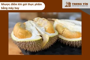 Một số thực phẩm bị hạn chế gửi máy bay và cần đóng gói đúng chuẩn an toàn.