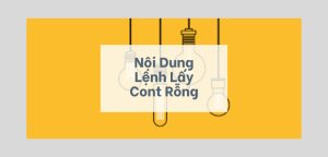 3 cách duyệt lệnh lấy Cont rỗng (Empty Release Order) phổ biến