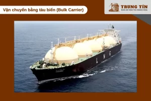 Tàu bulk carrier chuyên chở hàng rời khối lượng lớn giữa các cảng biển lớn