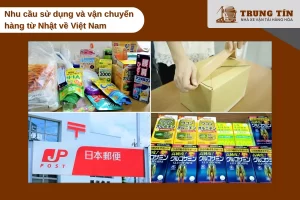 Nhu cầu gửi hàng từ Nhật về Việt Nam tăng mạnh mỗi năm