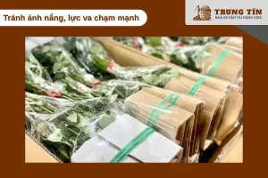 Tránh ánh nắng và va chạm để giữ hoa không bị héo hay dập nát