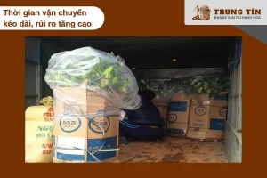 Thời gian vận chuyển dài làm tăng nguy cơ hoa hỏng và mất giá trị