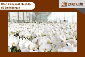 Kiểm soát nhiệt độ và độ ẩm giúp hoa tươi lâu hơn khi vận chuyển