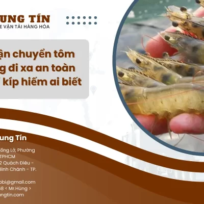 Cách vận chuyển tôm thẻ sống đi xa an toàn bằng bí kíp hiếm ai biết
