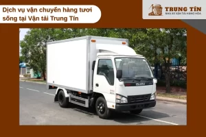 Vận tải Trung Tín bảo ôn tôm sống 22 đến 25 độ C suốt hành trình.