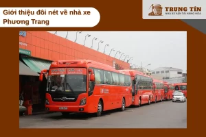 Nhà xe Phương Trang uy tín hơn 20 năm với mạng lưới phủ khắp 63 tỉnh thành